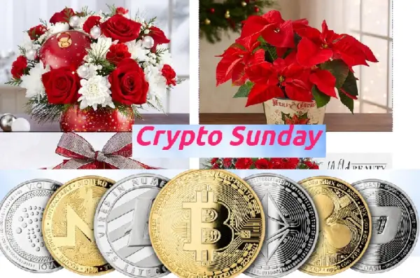 crypto sunday